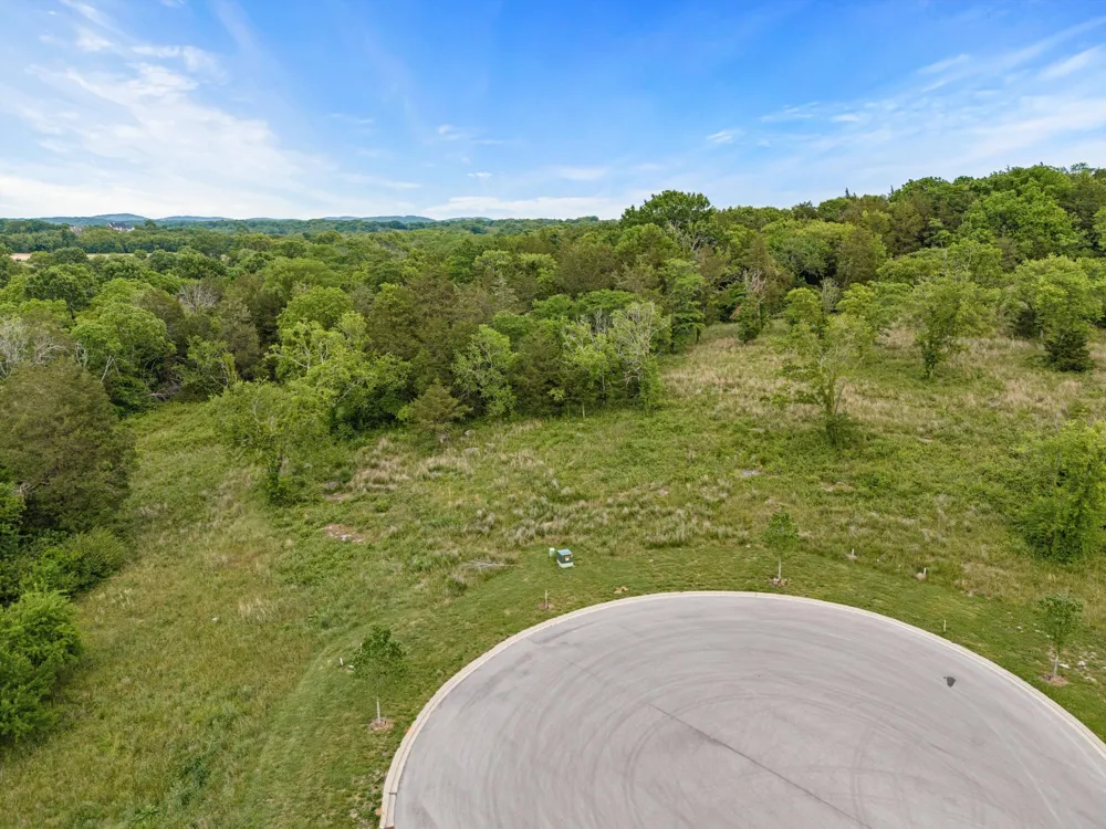 9447 Thatchbay Ct College Grove, TN 37046