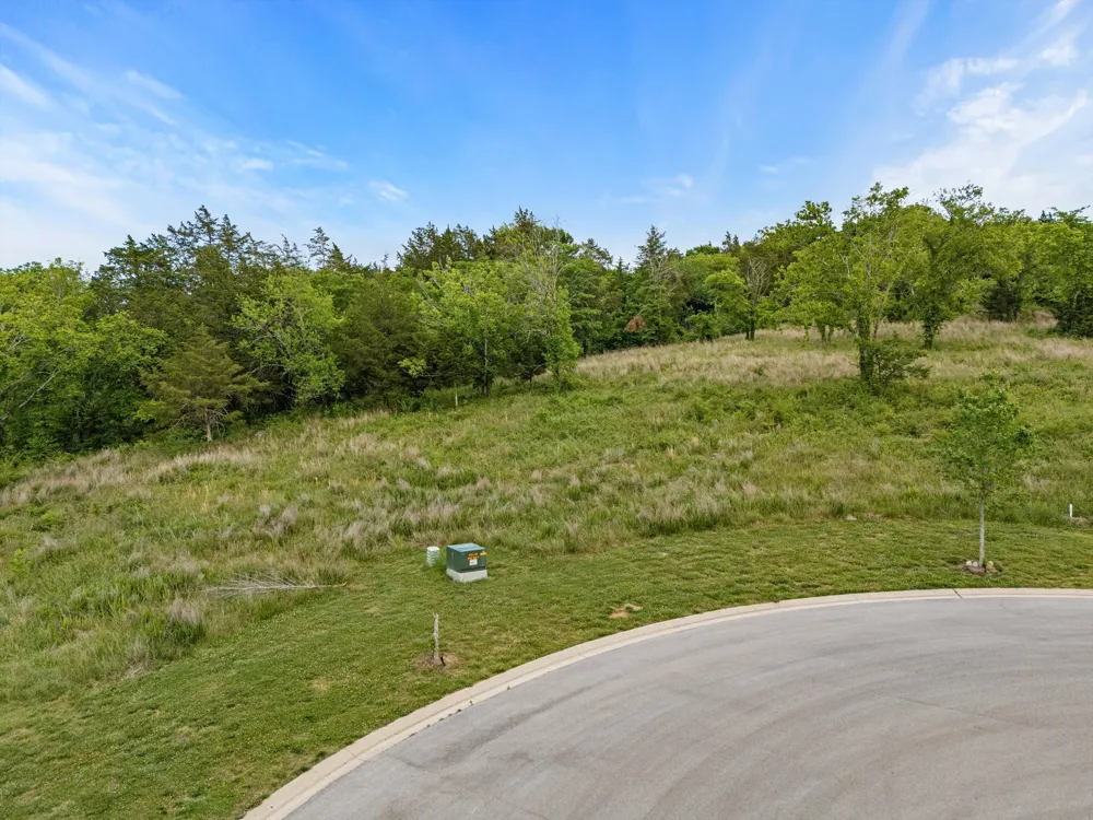 9447 Thatchbay Ct College Grove, TN 37046