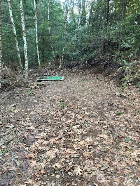 0 Dow Ridge