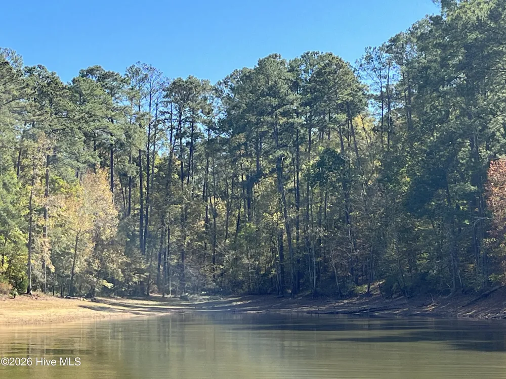 Lot 10 Bereau Drive Mccormick, SC 29835