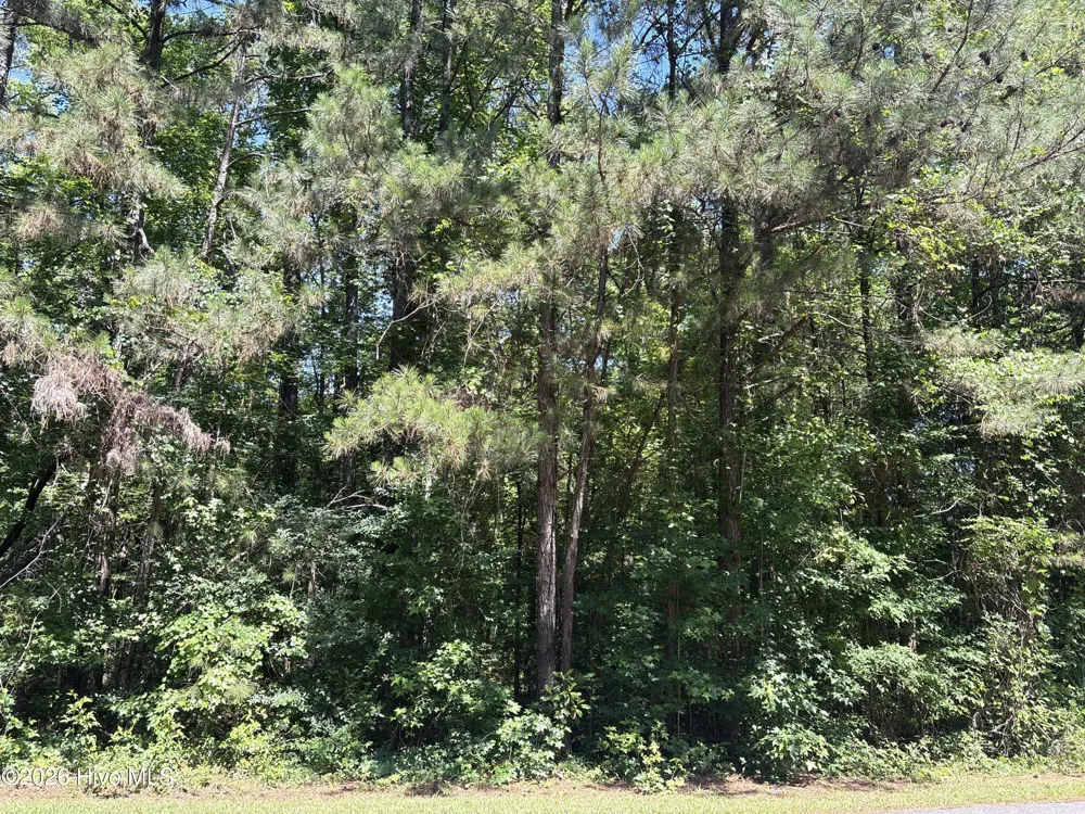 Lot 10 Bereau Drive Mccormick, SC 29835