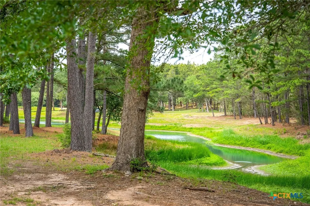 1055 Beech Crest Columbus, TX 78950