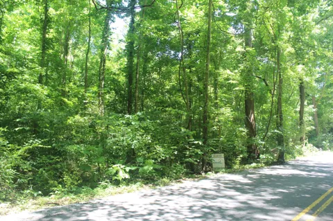 3978 Dry Fork Rd