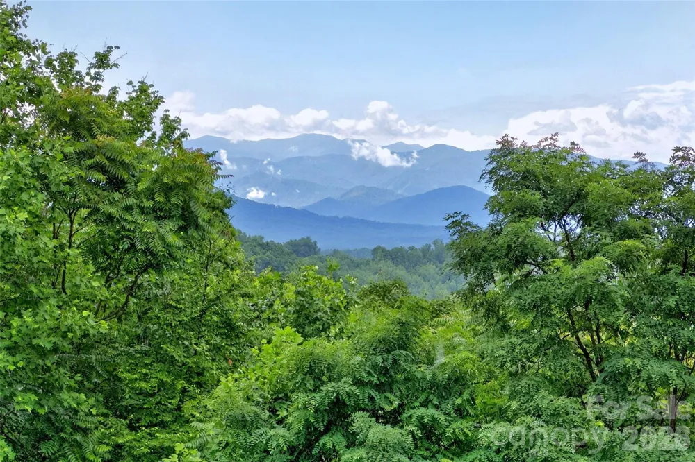 696 Hickory Nut Hollow Old Fort, NC 28762