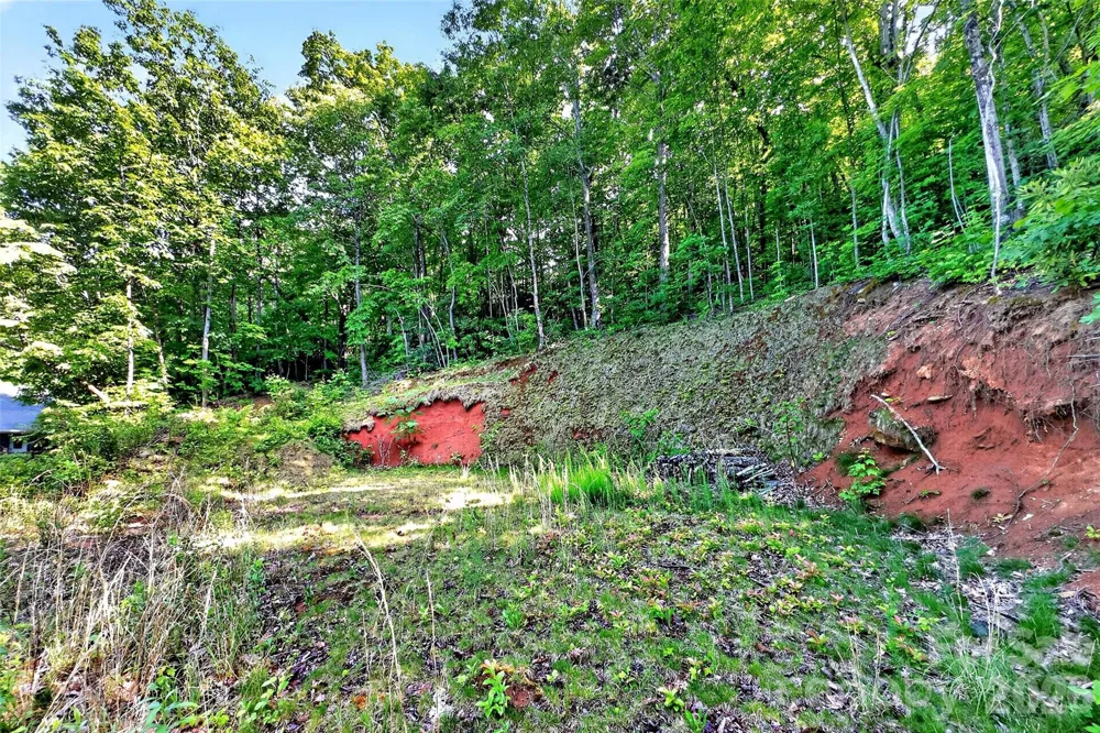 696 Hickory Nut Hollow Old Fort, NC 28762