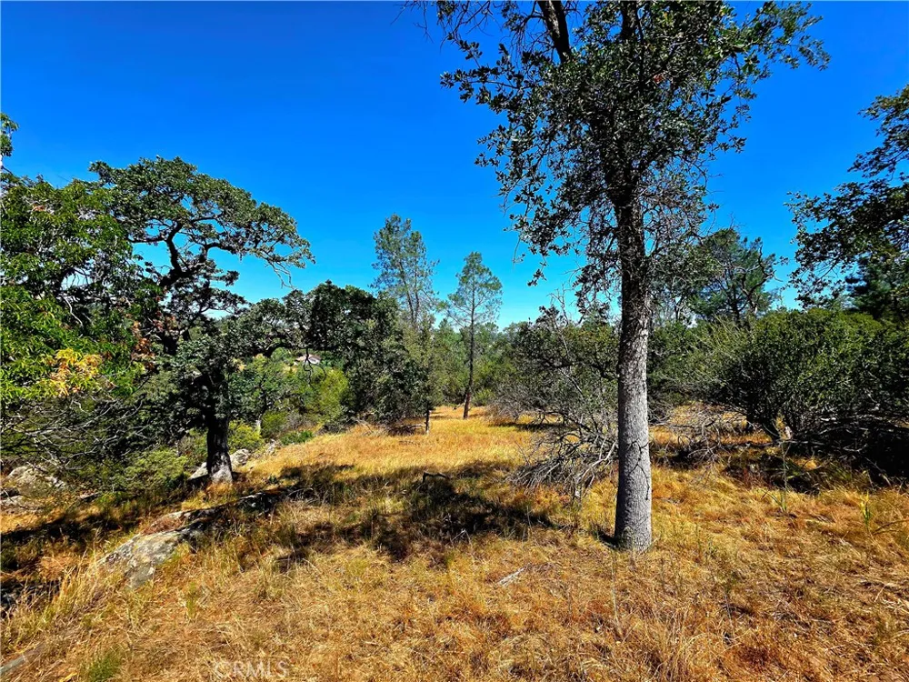 2 Corral Coarsegold, CA 93614