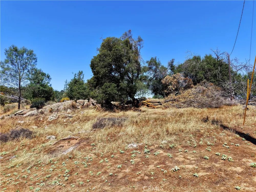 2 Corral Coarsegold, CA 93614
