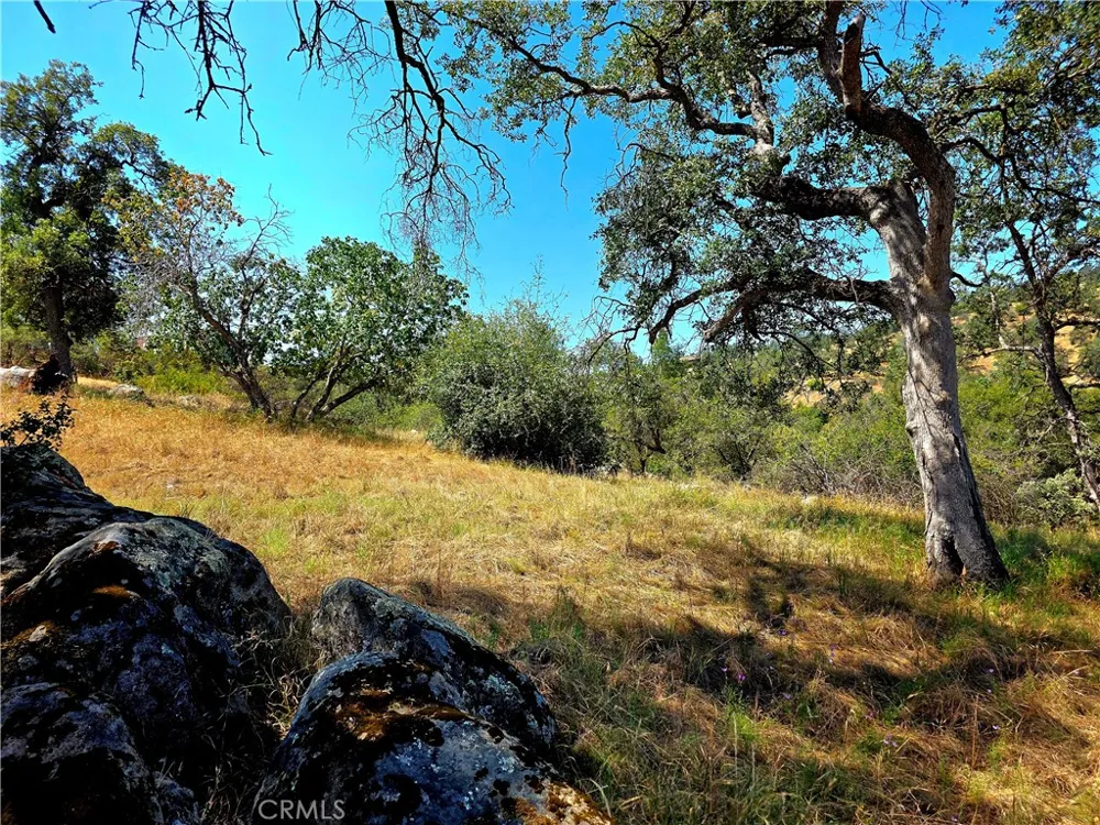 2 Corral Coarsegold, CA 93614