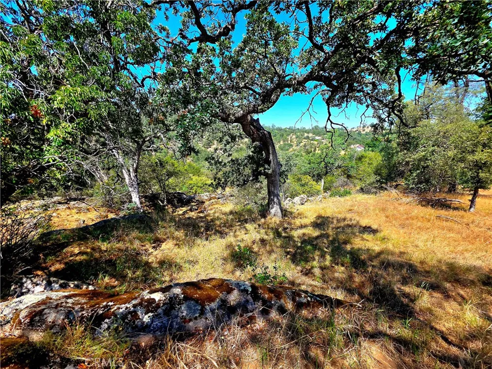 2 Corral Coarsegold, CA 93614