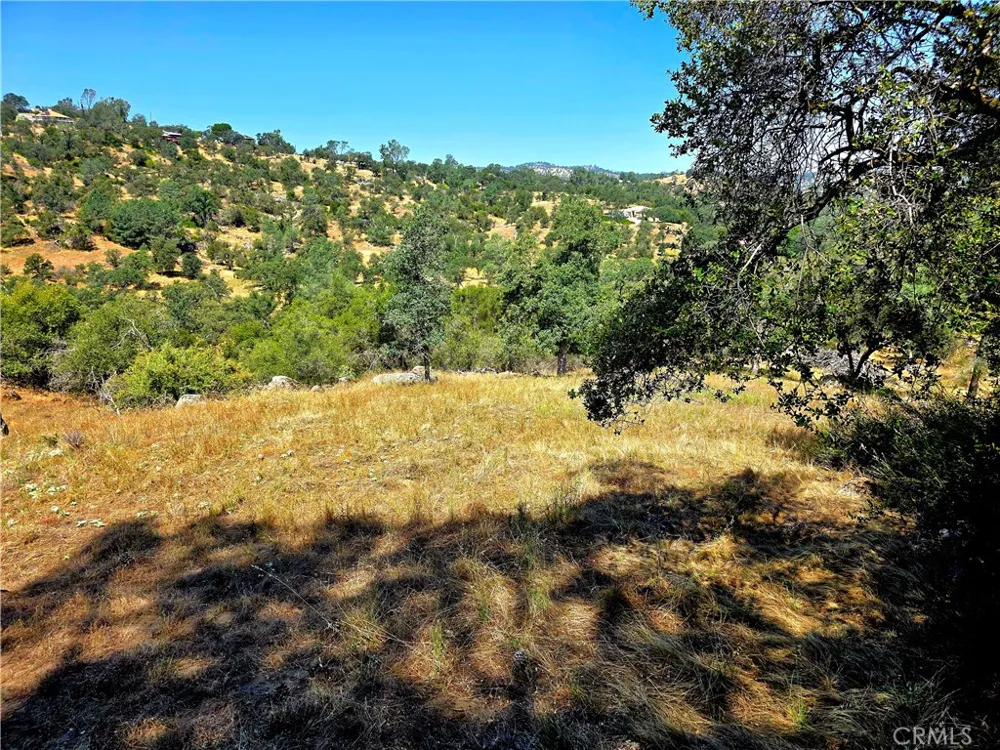 2 Corral Coarsegold, CA 93614