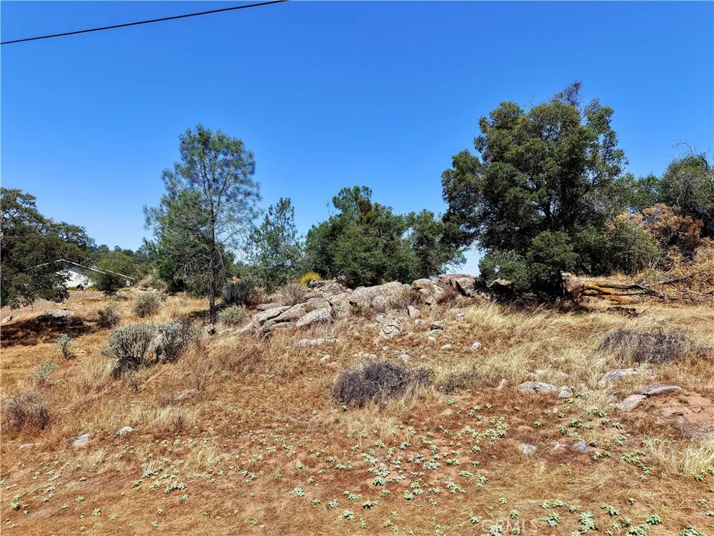 2 Corral Coarsegold, CA 93614