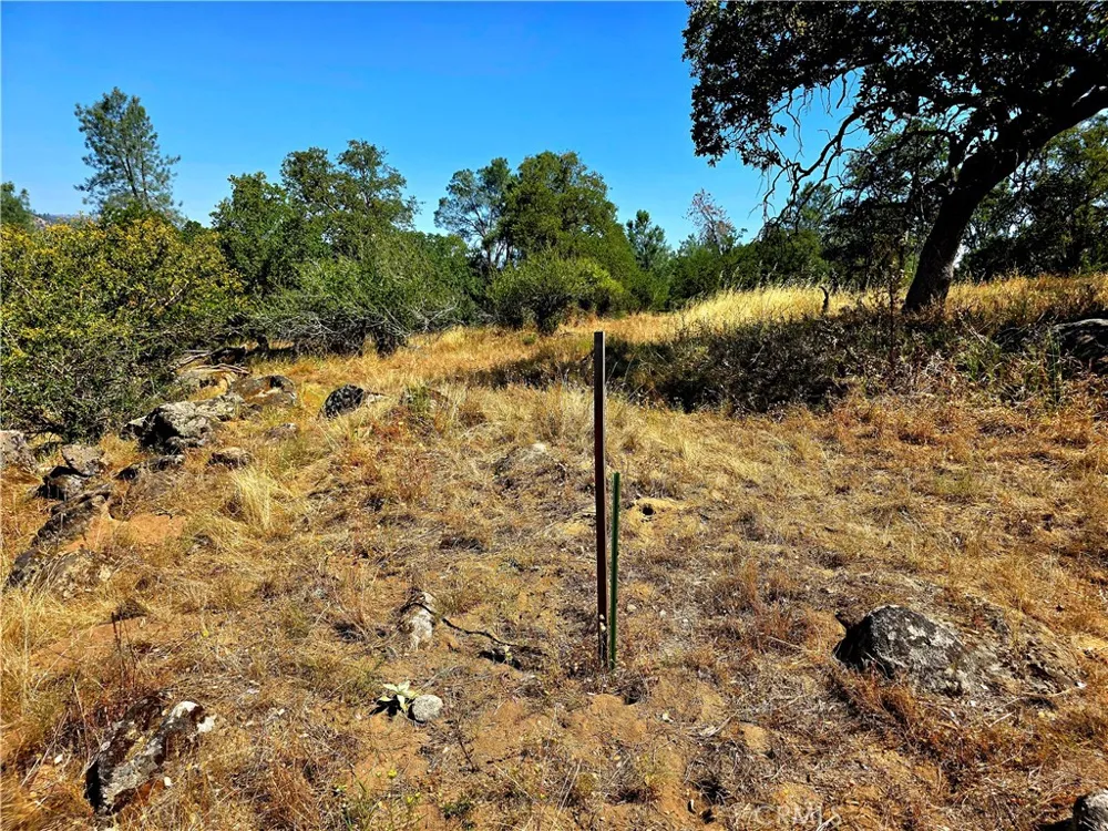 2 Corral Coarsegold, CA 93614