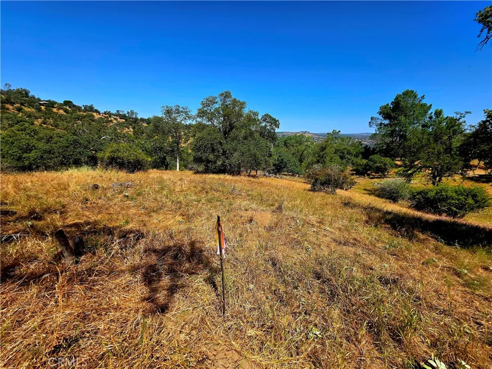 2 Corral Coarsegold, CA 93614