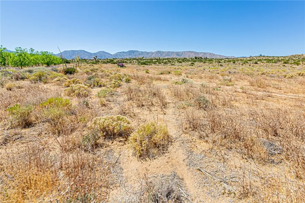11126 E Avenue W8 Pearblossom, CA 93553