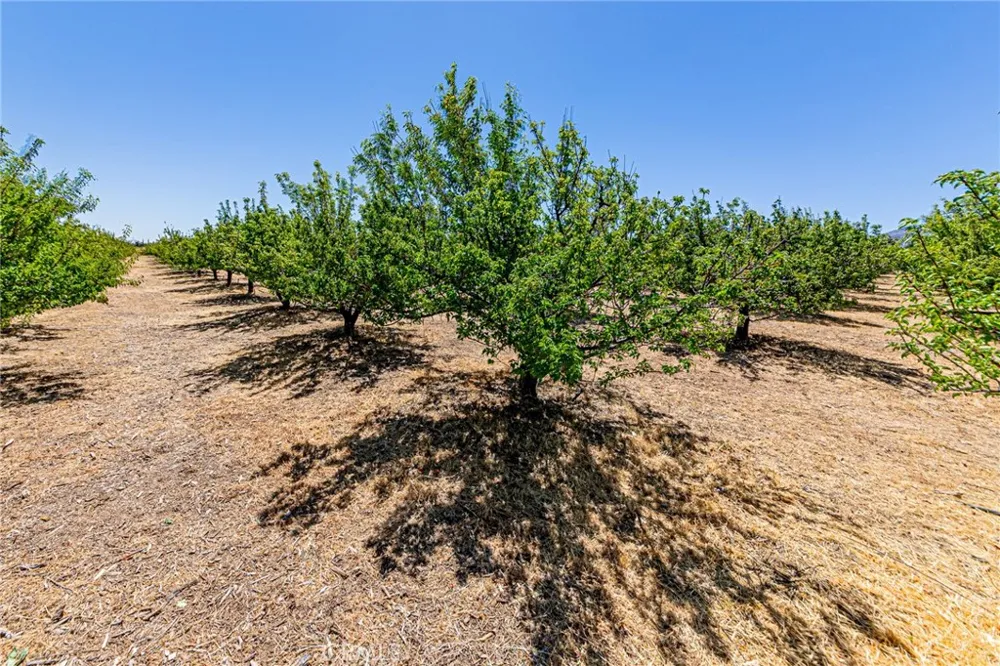 11126 E Avenue W8 Pearblossom, CA 93553