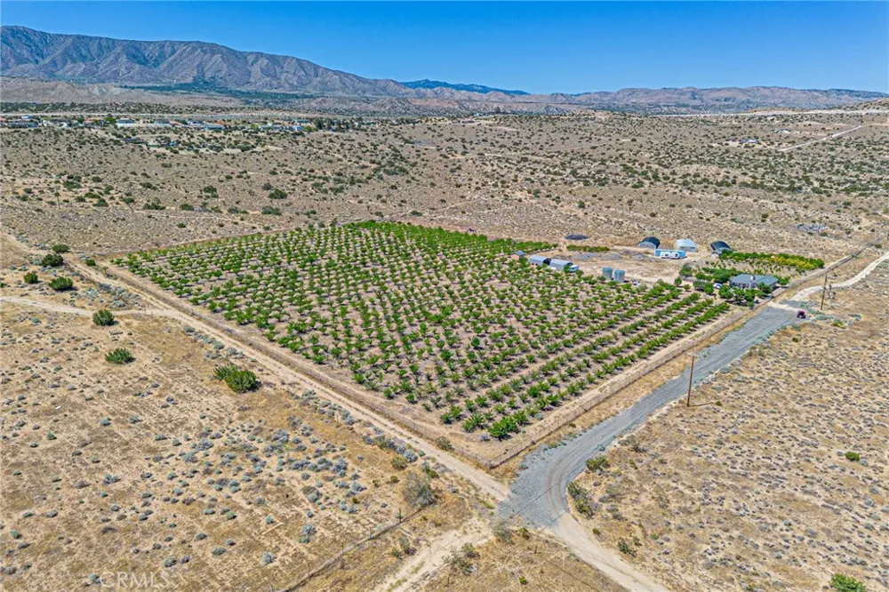 11126 E Avenue W8 Pearblossom, CA 93553