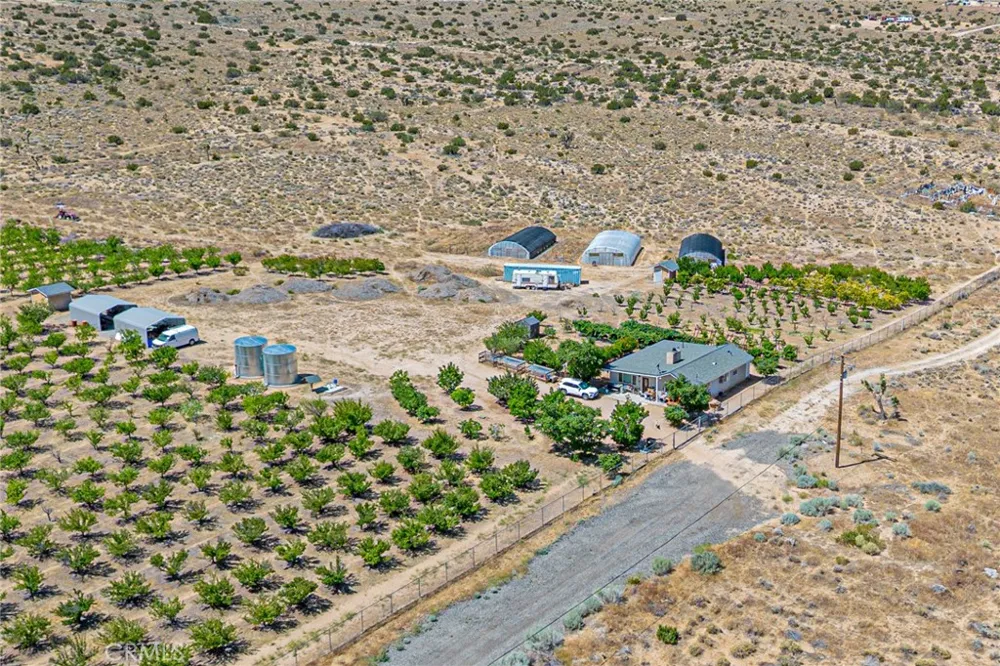 11126 E Avenue W8 Pearblossom, CA 93553