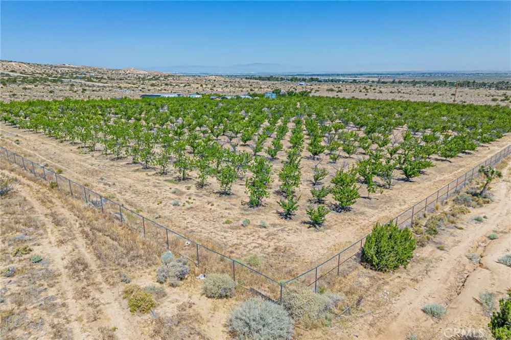 11126 E Avenue W8 Pearblossom, CA 93553
