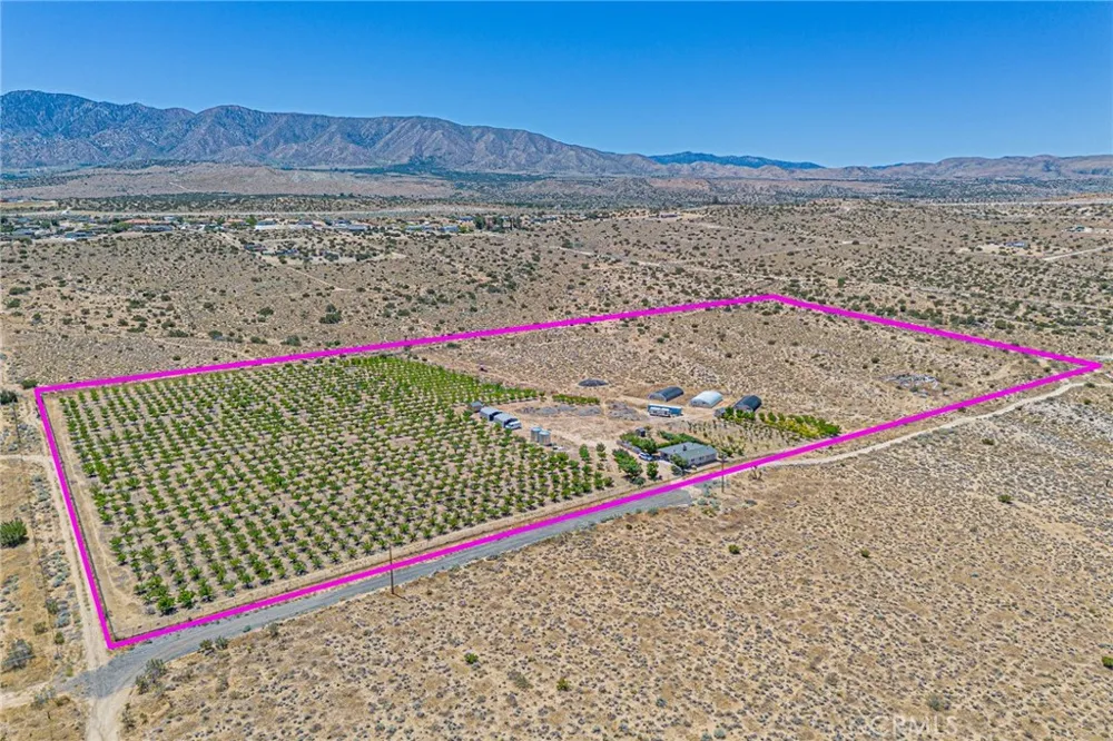 11126 E Avenue W8 Pearblossom, CA 93553
