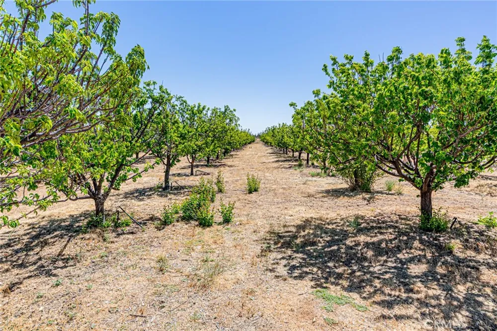 11126 E Avenue W8 Pearblossom, CA 93553
