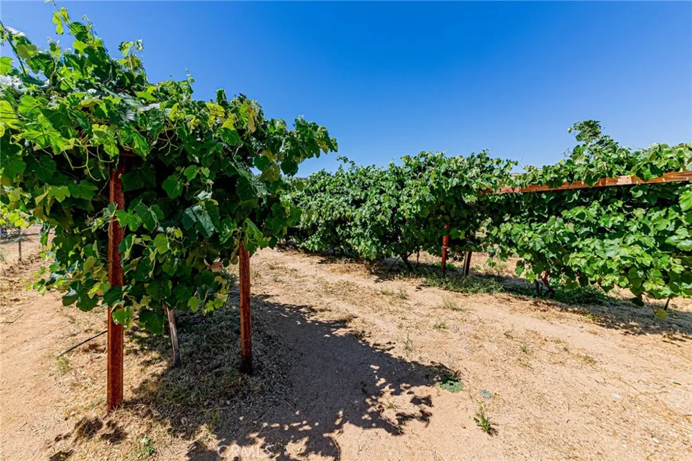 11126 E Avenue W8 Pearblossom, CA 93553