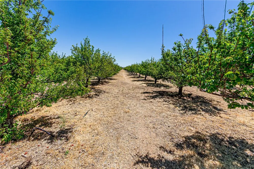 11126 E Avenue W8 Pearblossom, CA 93553