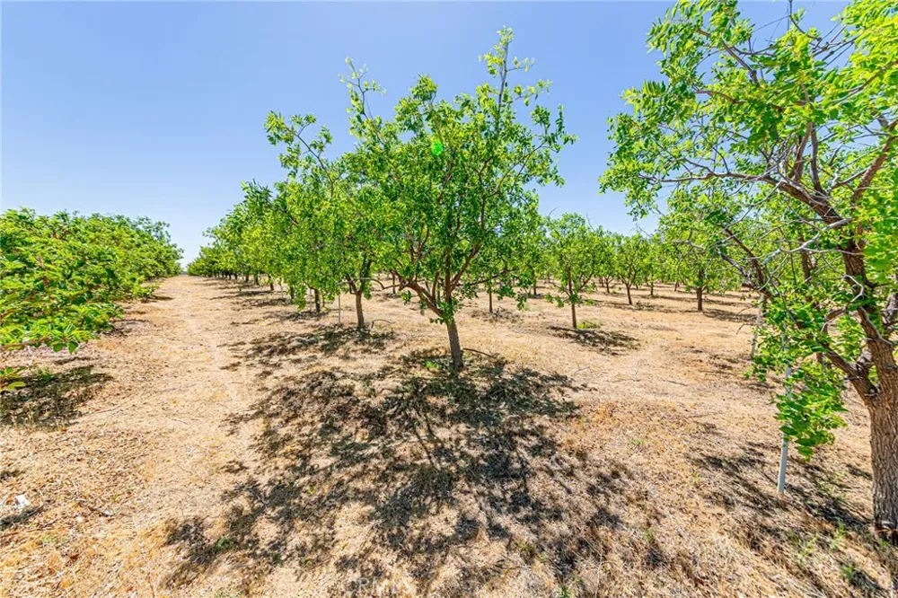 11126 E Avenue W8 Pearblossom, CA 93553