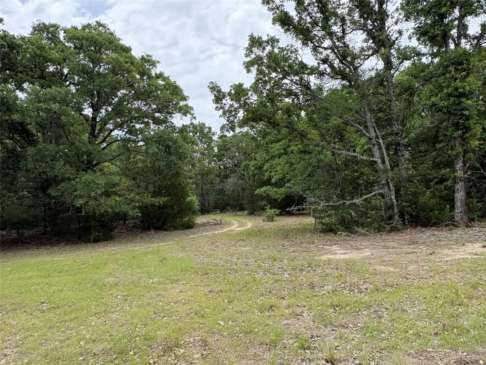 2212 County Road 4128 Cumby, TX 75433