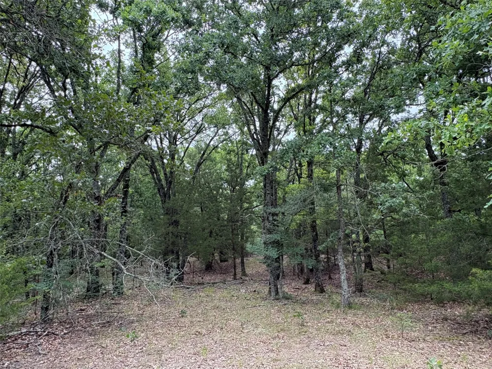 2212 County Road 4128 Cumby, TX 75433