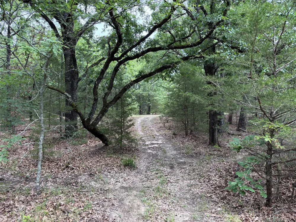 2212 County Road 4128 Cumby, TX 75433