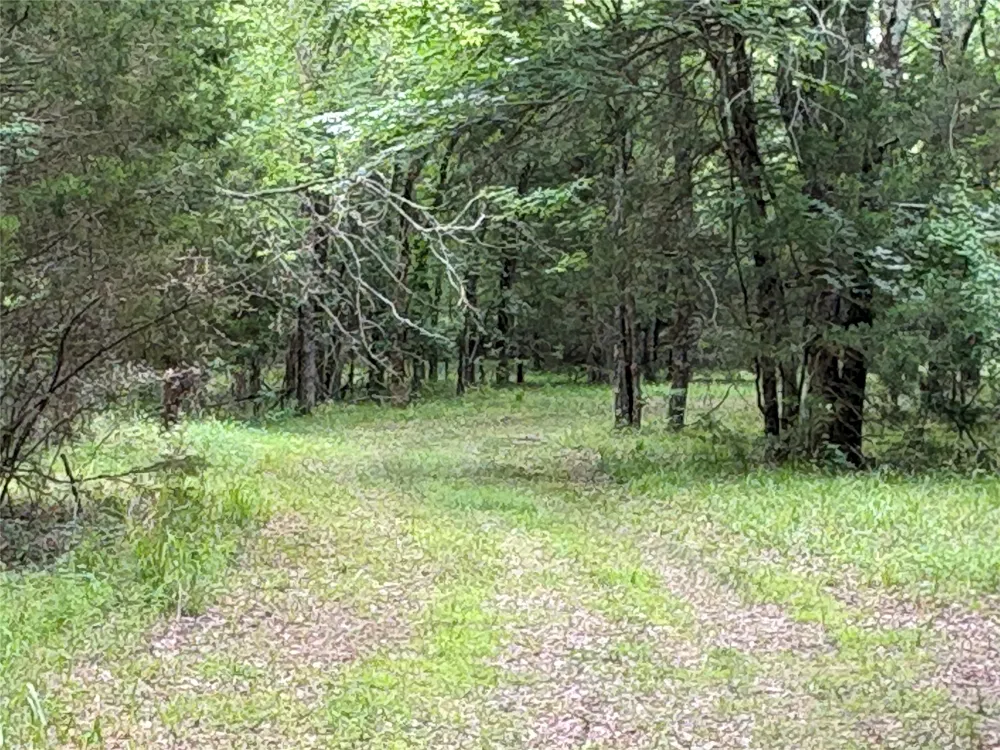 2212 County Road 4128 Cumby, TX 75433