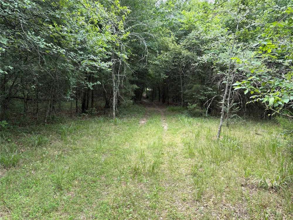 2212 County Road 4128 Cumby, TX 75433