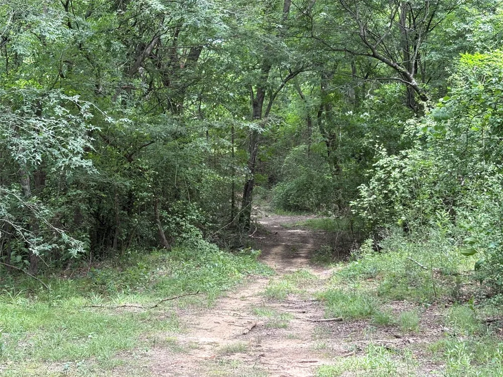 2212 County Road 4128 Cumby, TX 75433
