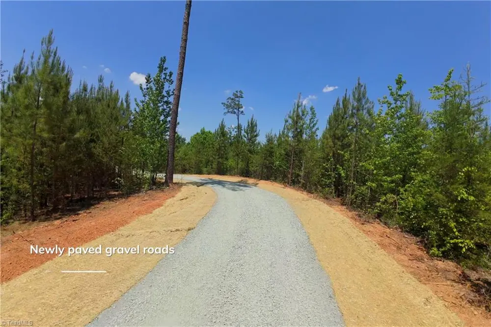 9 Roby Fulk Road Pinnacle, NC 27043