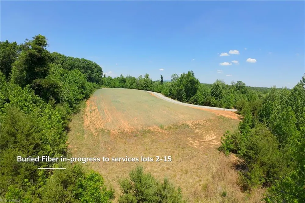 9 Roby Fulk Road Pinnacle, NC 27043