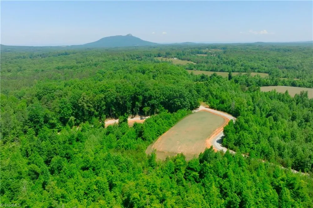 9 Roby Fulk Road Pinnacle, NC 27043