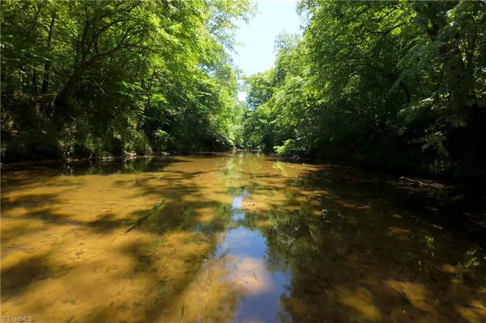 16 Roby Fulk Road Pinnacle, NC 27043