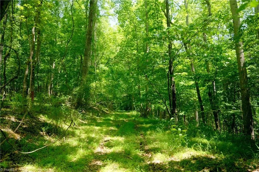 16 Roby Fulk Road Pinnacle, NC 27043
