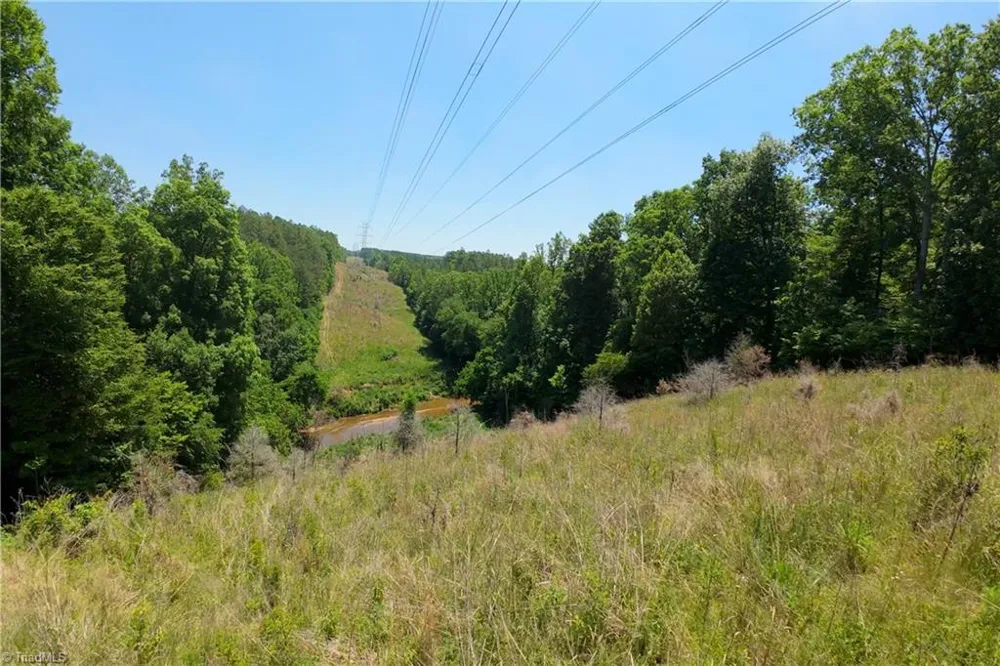 16 Roby Fulk Road Pinnacle, NC 27043