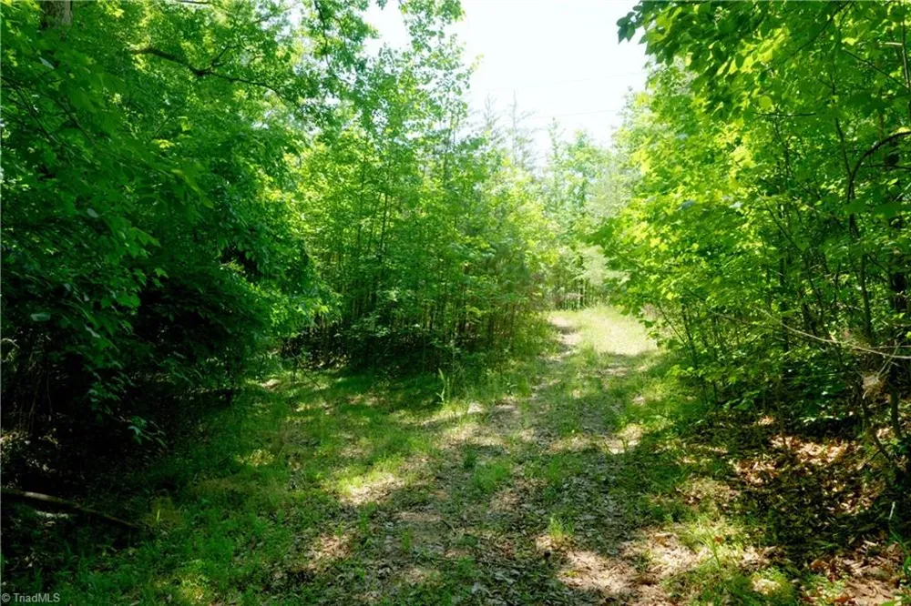 16 Roby Fulk Road Pinnacle, NC 27043