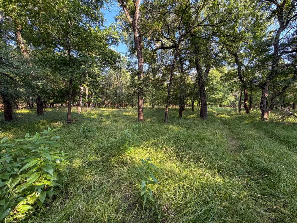 449 Private Rd 4670 Boyd, TX 76023