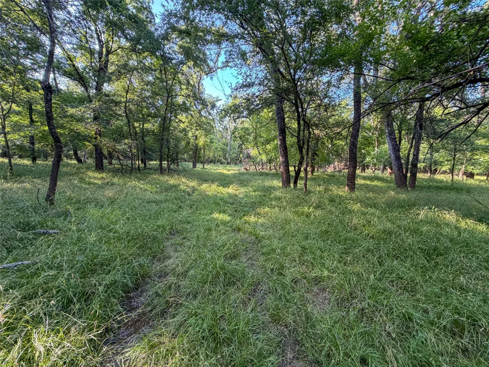 449 Private Rd 4670 Boyd, TX 76023