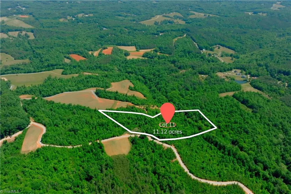 11 Roby Fulk Road Pinnacle, NC 27043