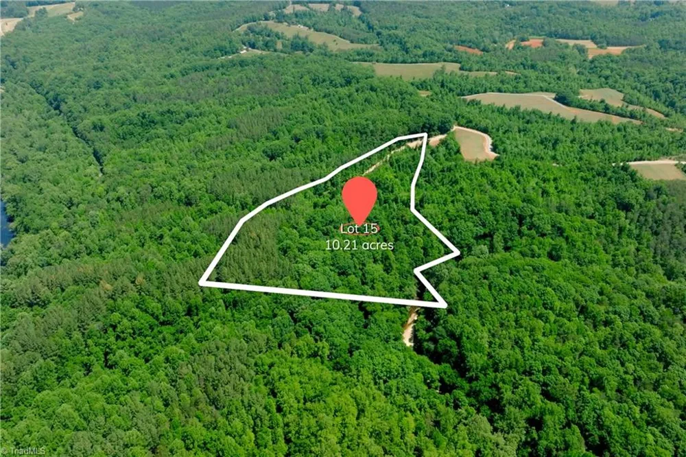 15 Roby Fulk Road Pinnacle, NC 27043