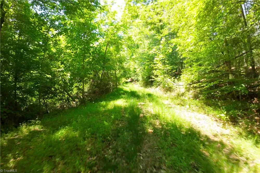 15 Roby Fulk Road Pinnacle, NC 27043