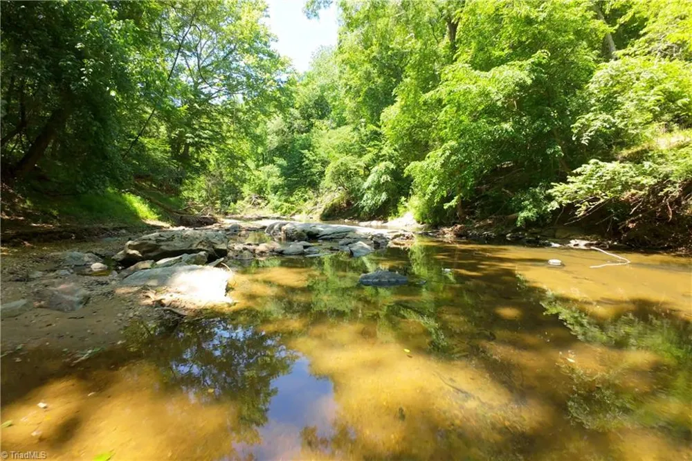 15 Roby Fulk Road Pinnacle, NC 27043