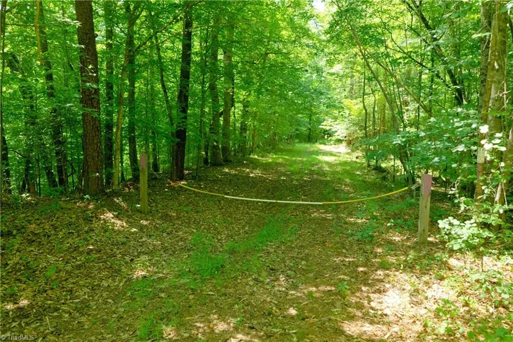 15 Roby Fulk Road Pinnacle, NC 27043