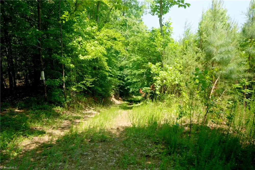 15 Roby Fulk Road Pinnacle, NC 27043