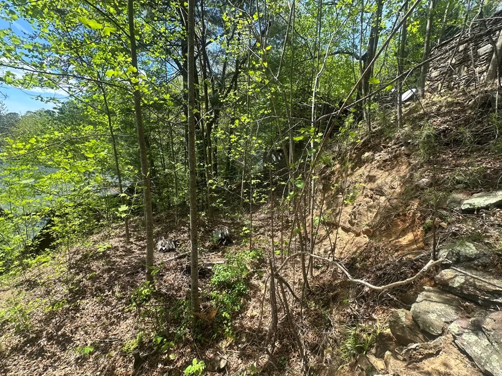 Lakeside Trail Lot #16 Robbinsville, NC 28771