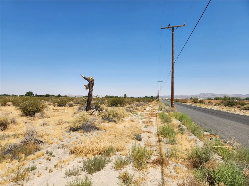 El Mirage Airport Road El Mirage, CA 92301